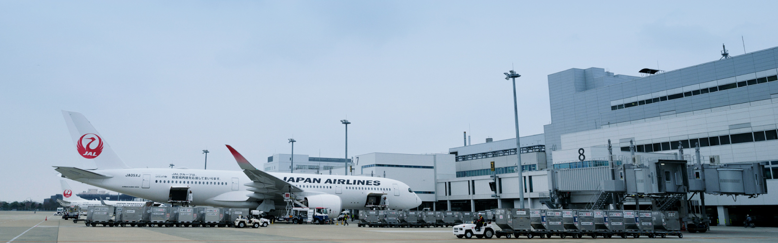 株式会社JALグランドサービス九州 JAL Grand Service in Kyushu